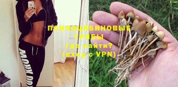 прущая мука Навашино