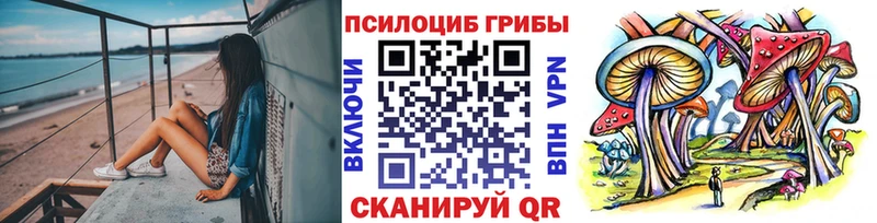 Галлюциногенные грибы прущие грибы Купить где Шахунья